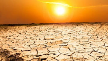 Roasting Under the Sun: Morocco’s Heatwave Pushes Limits of Survival