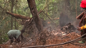 Ghana Helicopter Crash Claims Two Ministers and Six Others